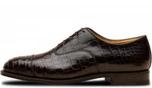 Consul Marrone Coccodrillo
