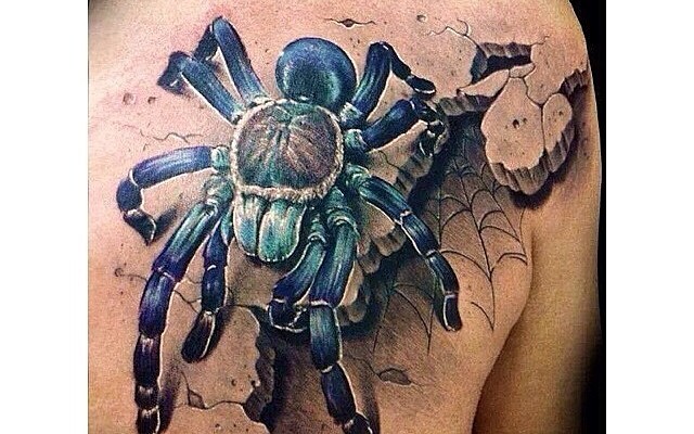 Tatoo 3D, ragno-1