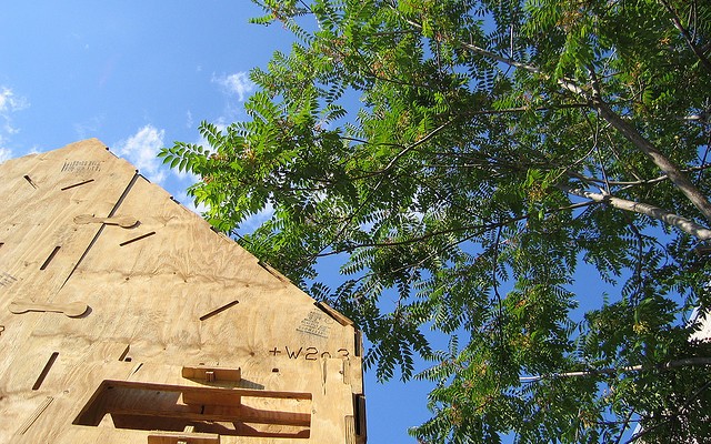 Casa, natura e legno.
