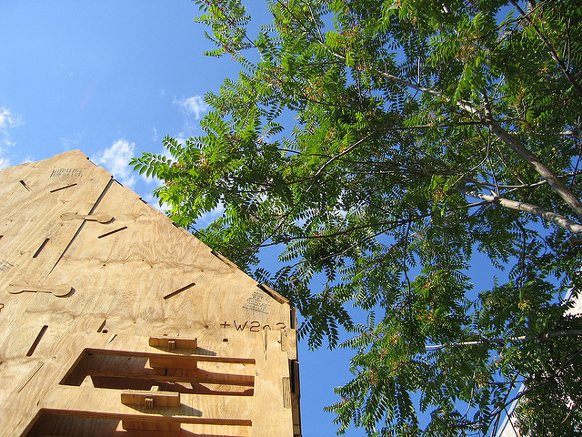 Casa, natura e legno.