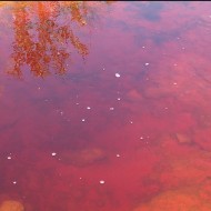 Rio Tinto