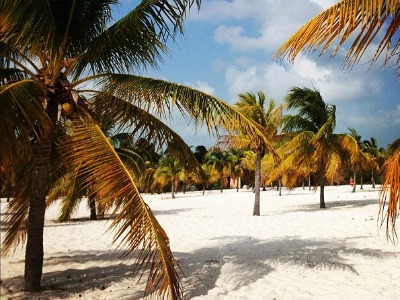 Una delle spiagge di Cayo Largo
