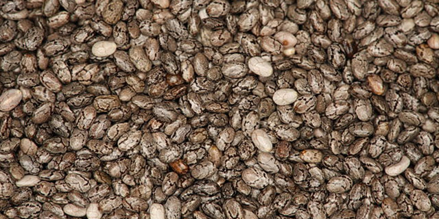 evidenza_SEMI-DI-CHIA
