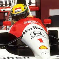 Senna dettaglio