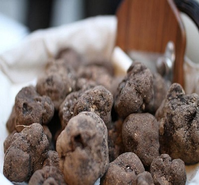 Tartufo nero di Norcia