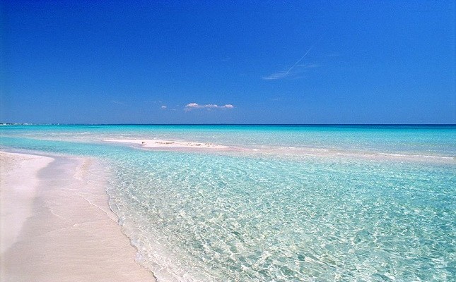 Punta Prosciutto