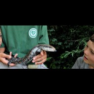 Il Bioparco di RomaIl Bioparco di Roma