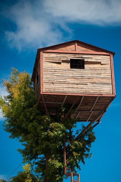 casa sull'albero