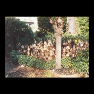 Giardino dei Semplici 6
