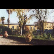 Giardino dei Semplici 7