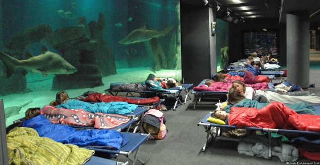 acquario-genova-notte-squali