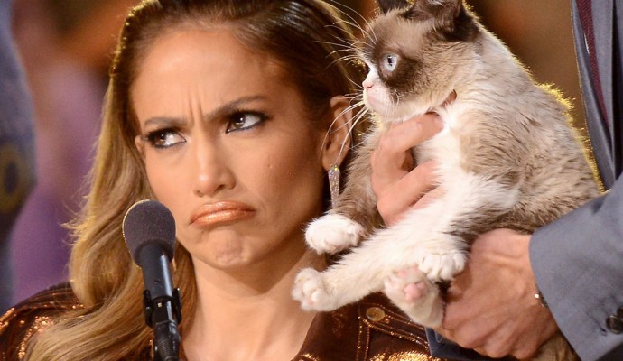 Grumpy-Cat-on-American-Idol