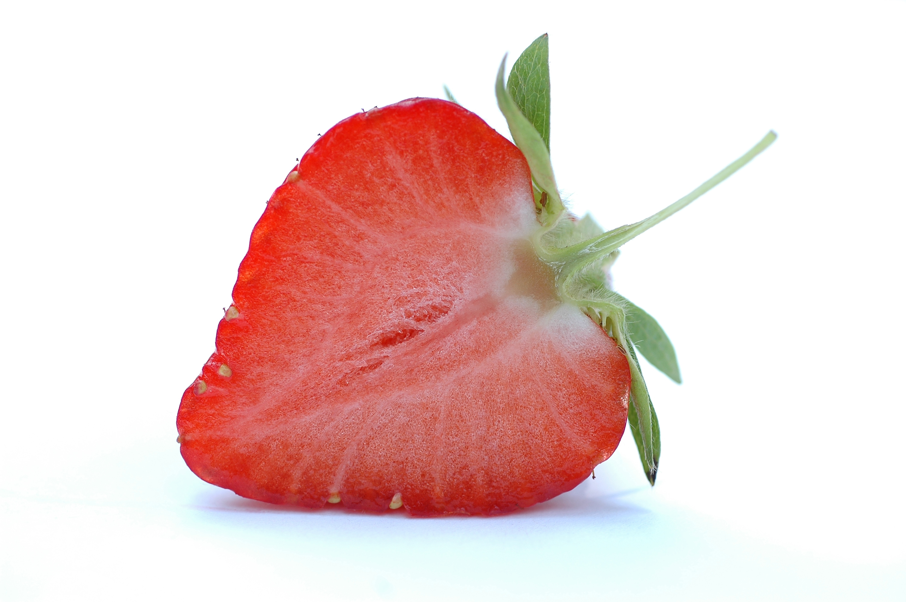 Fragola