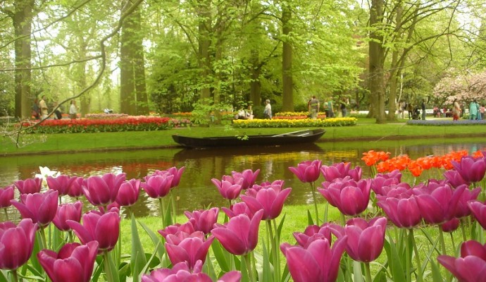 Keukenhof