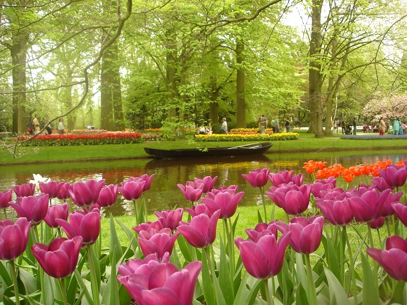 Keukenhof