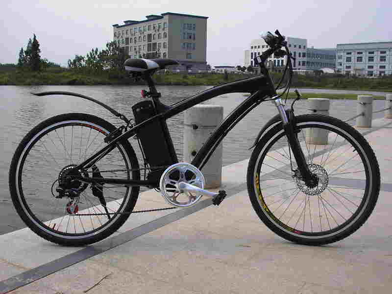 bicicletta elettrica