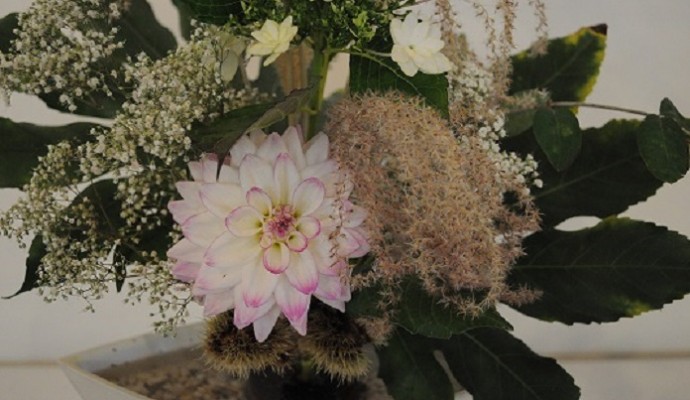 ikebana 1