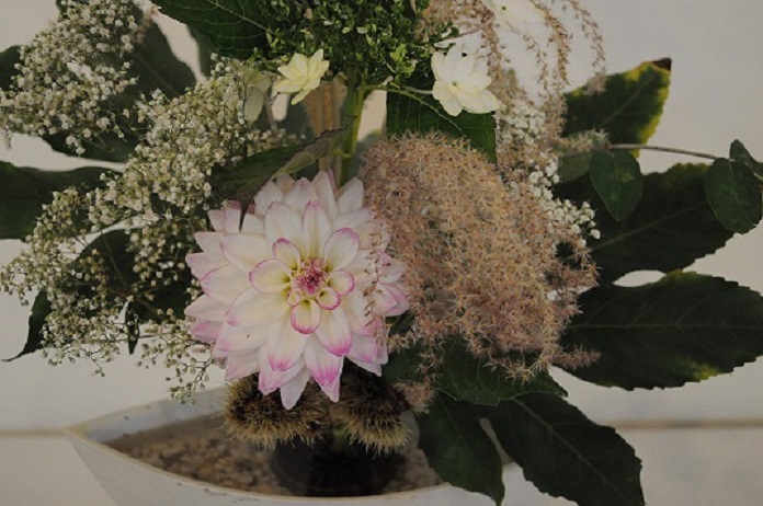 ikebana 1