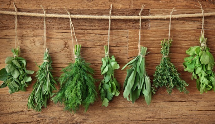 Erbe aromatiche, quali scegliere e come coltivarle