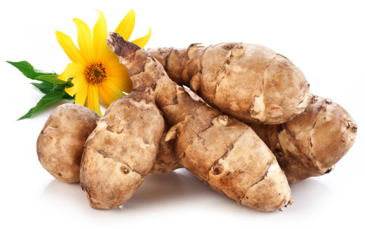 topinambur Jerusalem artichoke
