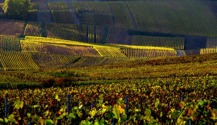 il vino frizzante più conosciuto al mondo