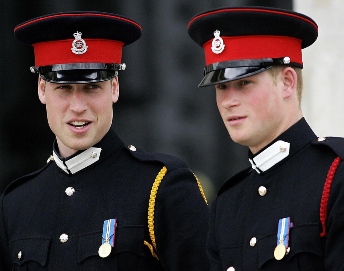 william harry