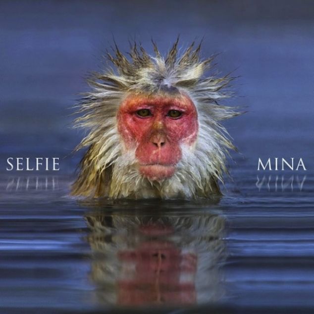 Cover dell'album Selfie di Mina