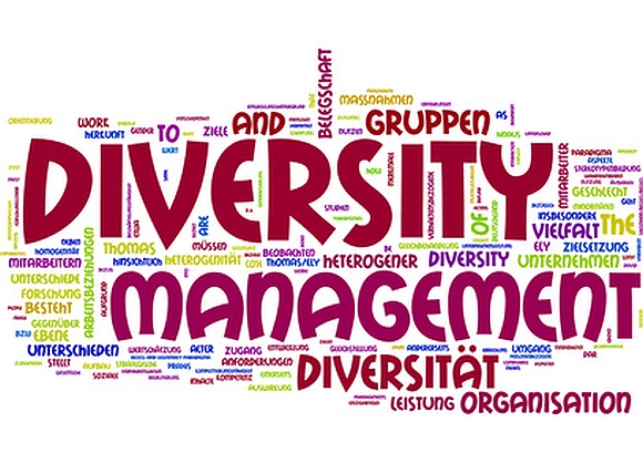 diversity management