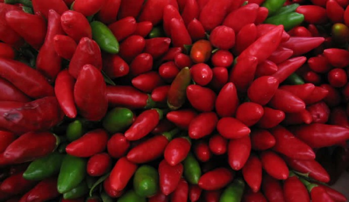 peperoncini