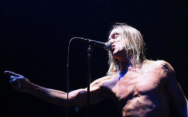 Iggy Pop by Alex Const