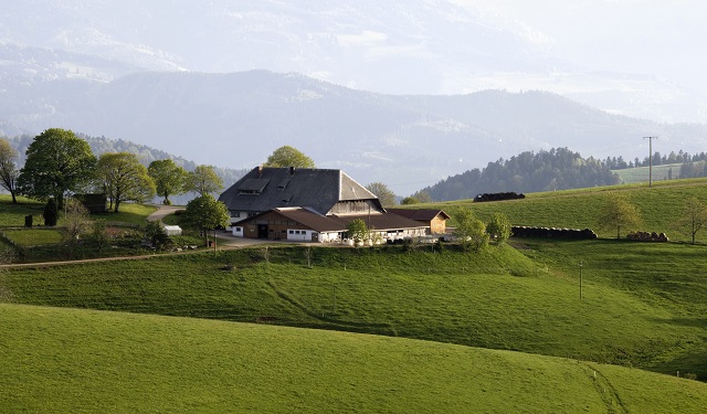 foresta nera schwarzwald