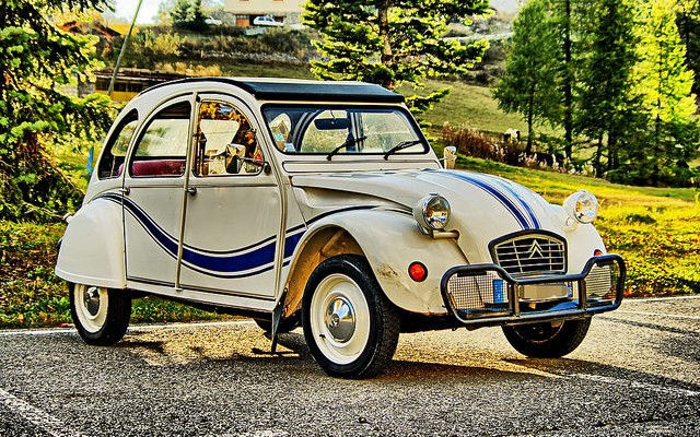 2 cavalli citroen