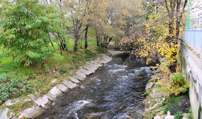 Seveso