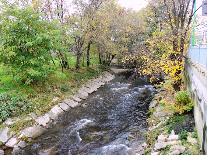 Seveso