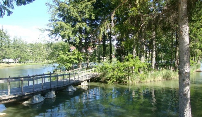 Meeting Island 1