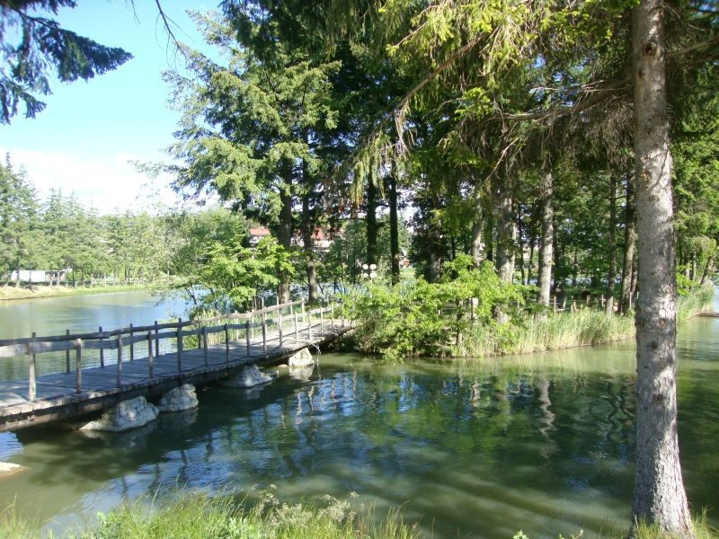 Meeting Island 1