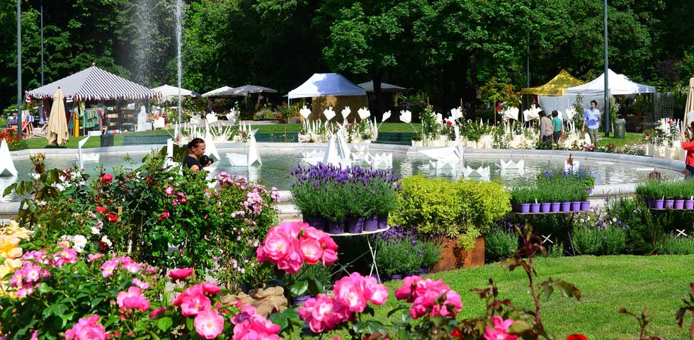 FN_DSC_3163-ph-Fabio-Novelli