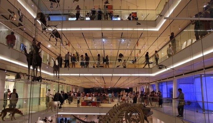 museo-famiglie-e-bambini-a_med_hr