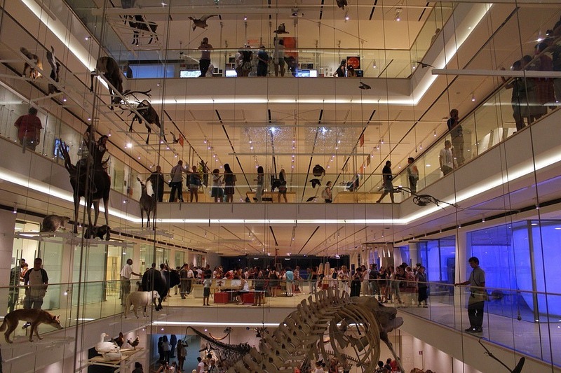 museo-famiglie-e-bambini-a_med_hr