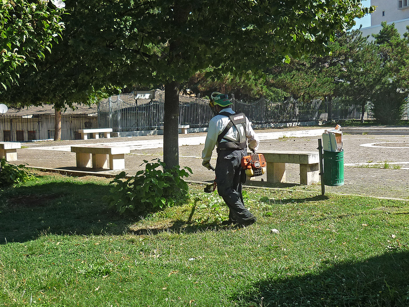 Pulizia-parchi-pubblici-Avezzano-2