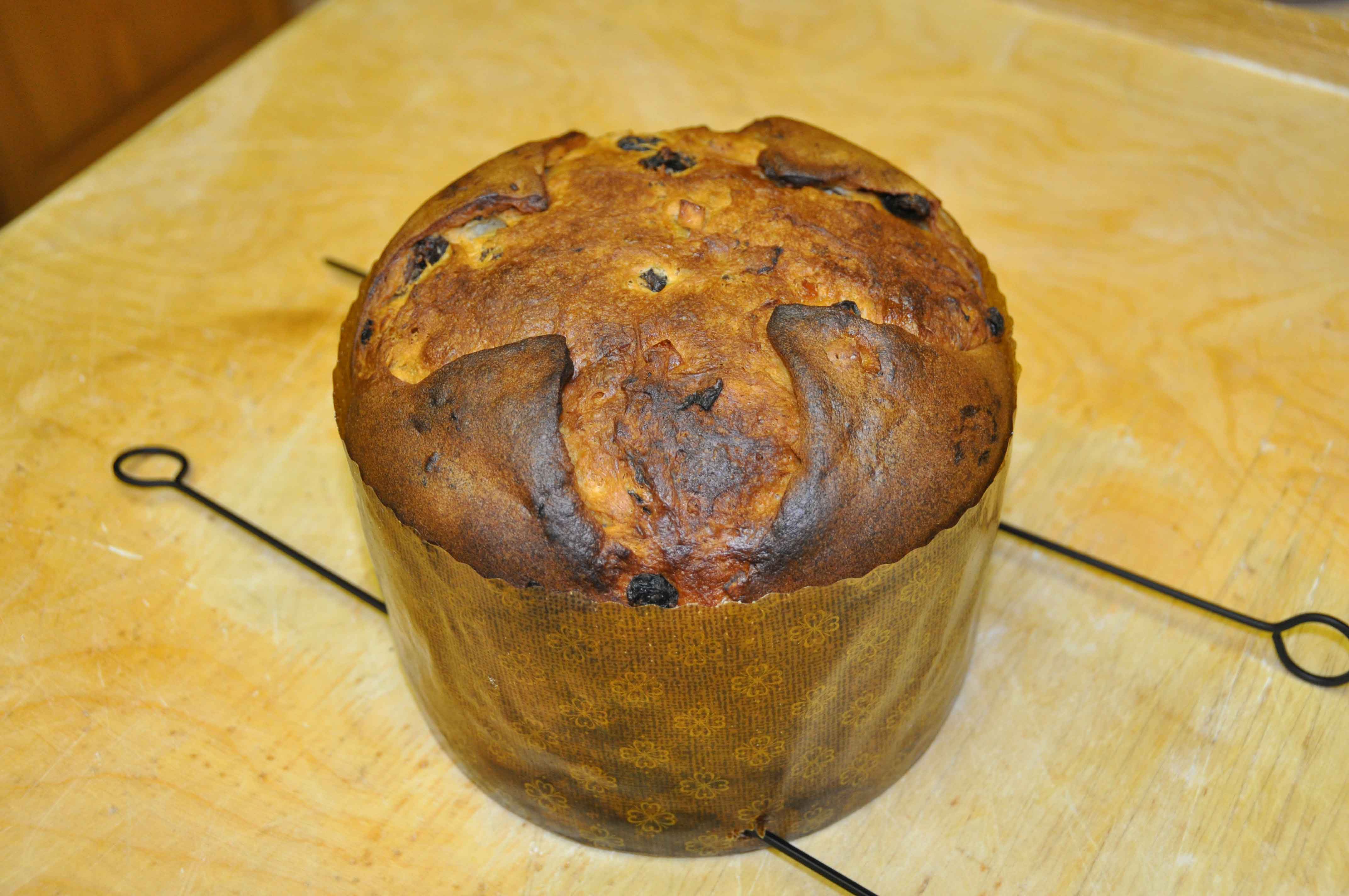 panettone