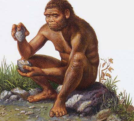 HOMO HABILIS