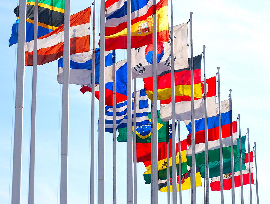Expat Geneva Flags