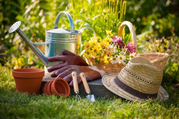 shutterstock_170315264-e1417811649707
