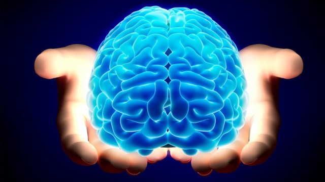 Il-cervello-di-chi-è-in-sovrappeso-più-vecchio-di-10-anni-i-risultati-dello-studio-shock