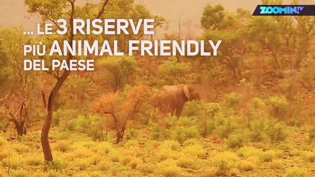 5821be54e5e1682078caac7d