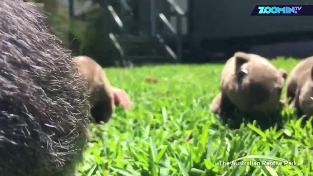 583d5525e5e1687f2ef63845