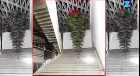 Schermata 2016-12-23 alle 17.42.57