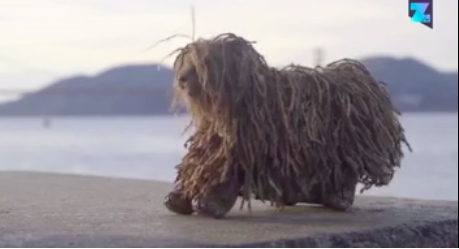 Schermata 2017-04-02 alle 11.13.01