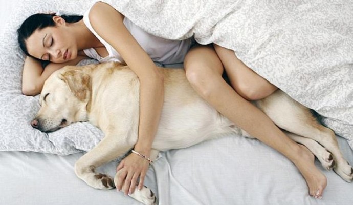 dormire-con-il-cane-e1453548733880